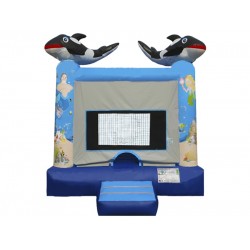 Backyard Bounce House