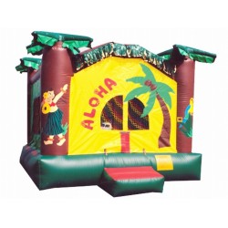 Inflatable Safari Bouncer