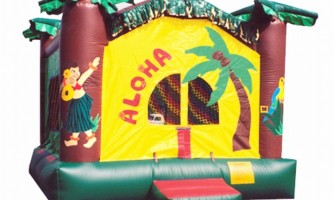 How Can You Safely Clean a Moldy Bounce House? How Can You Safely Clean a Moldy Bounce House?