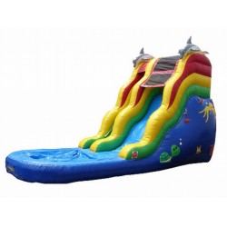 Inflatable Bounce House Water Slide