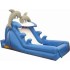 Inflatable Dolphin Slide