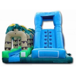 Inflatable Tropical Water Slip Slide