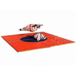 Interactive Sumo Suits Interactive Sumo Suits