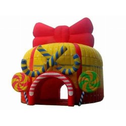 Inflatable Tent 30 Inflatable Tent 30