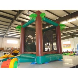 Inflatable Safari Combo