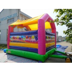 Inflatable Tweety Interactive Bubble