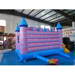 Inflatable Disney Castle
