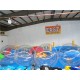 Inflatable Water Walking Ball Inflatable Water Walking Ball