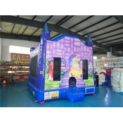 Princess Bounce House Princess Bounce House