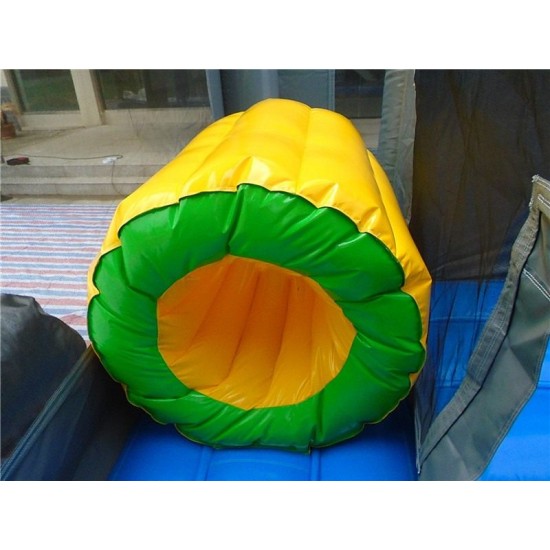 Dinosaur Bounce House Dinosaur Bounce House