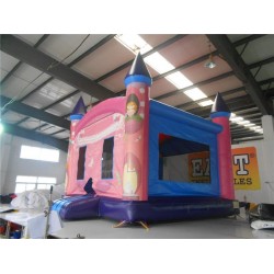 Princess Castle Princess Castle