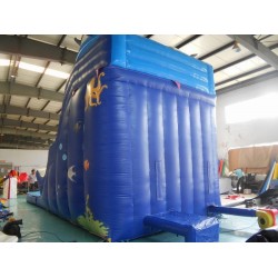 Bounce House Water Slide