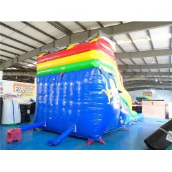 Inflatable Bounce House Water Slide