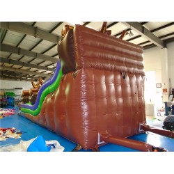 Wild Rapids Water Slide