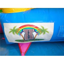 Double Tunnel Slide Combo Double Tunnel Slide Combo