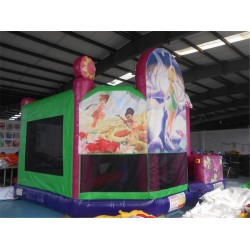 Disney Fairies 5 In 1 Combo Disney Fairies 5 In 1 Combo