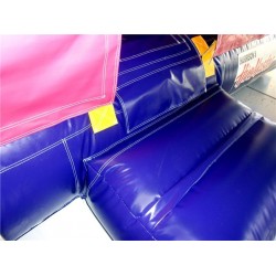 A Girl Thing A Girl Thing