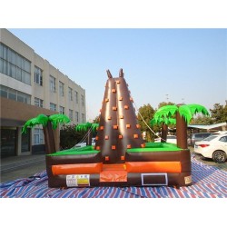 Inflatable Rock Climbing Wall Inflatable Rock Climbing Wall