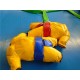 Sumo Wrestling Suit Sumo Wrestling Suit