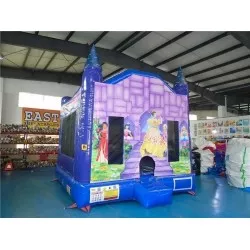 Princess Bounce House