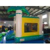 Inflatable Jumper Jungle