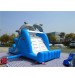 Inflatable Dolphin Slide